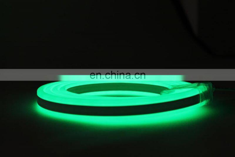 Shenzhen IP68 double sided blue 2835 24v led flexible neon strip light