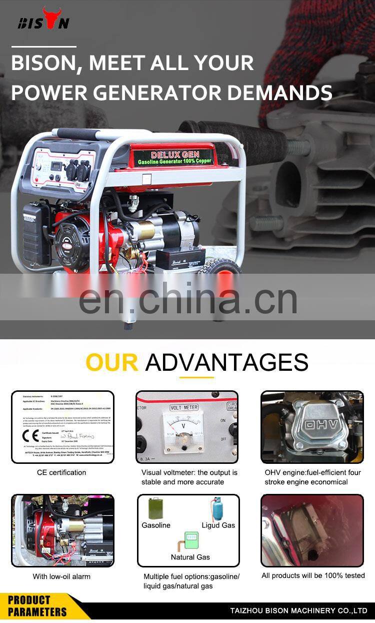 BISON CHINA 2kv Air Cooled Gasoline Generator Price of Single Phase 2kva Kerosene Generator