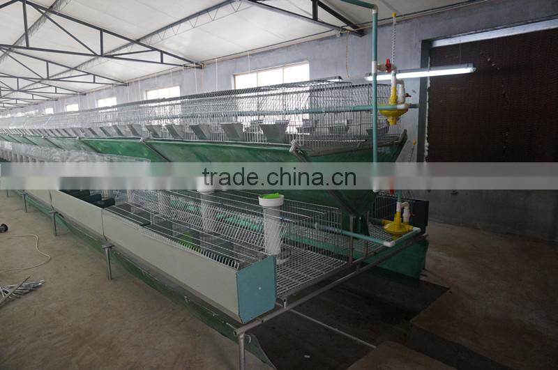Wholesale automatic rabbit farming cage