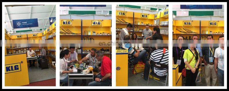 Rear hatch strut Gas Strut for VW and AUDI