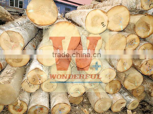 brich wood skewer stick