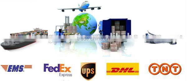 New cartoon Bear Manicure set for gril