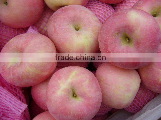 Chinese Fuji apple
