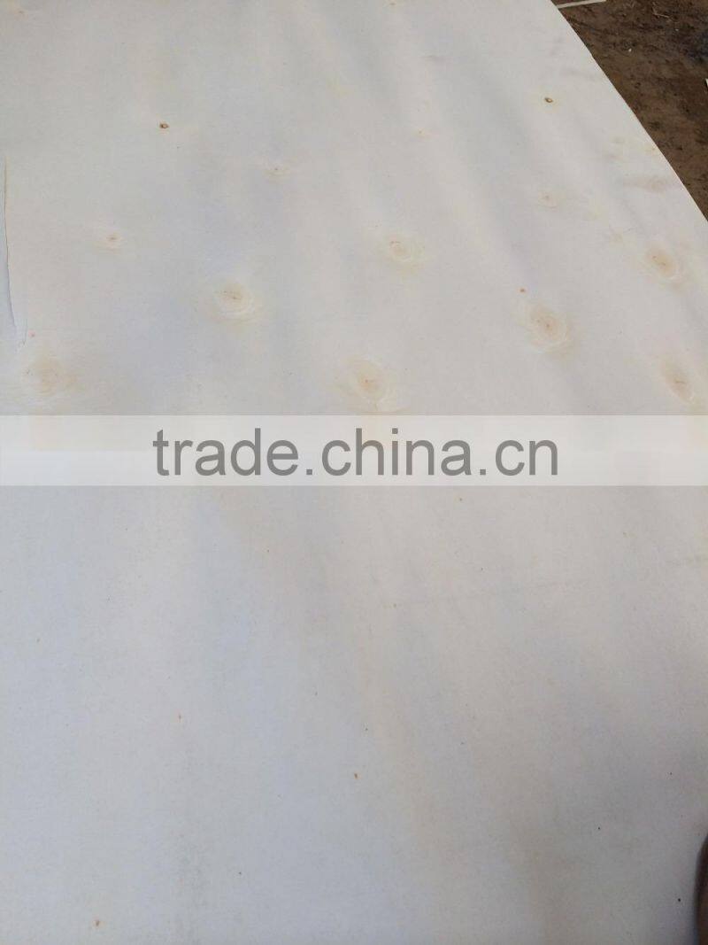 Rotary cut white color poplar wood face veneer with high quanlity Linyi factory manufactures