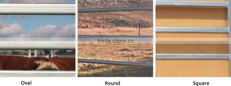 pvc coated cattle fence/oval rail cattle panels