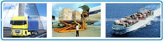 CH307 disposable seal barcoded straps of plastic bag