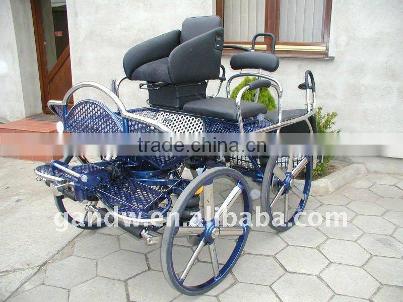 Light Marathon Competion Training horse cart