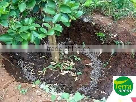 NEEM KERNEL CAKE IN COMPETITIVE PRICE