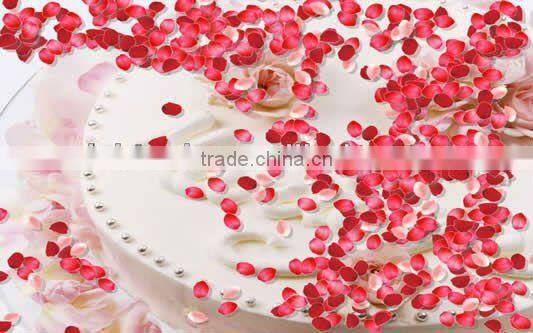 RichTech pro version portable interactive projector for advertising, wedding, event with low interactive floor price