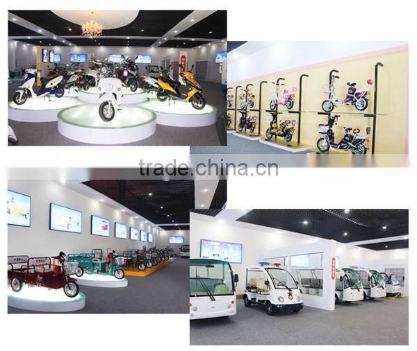 Romai CE TDR122Z electric bikes for sale with pedals