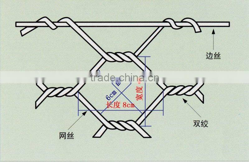 Anping Nuojia Hexagonal wire mesh(factory price)