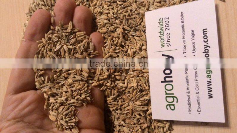 Turkish origin Fennel Seed factory