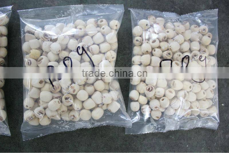 Automatic Powder Packaging Machine