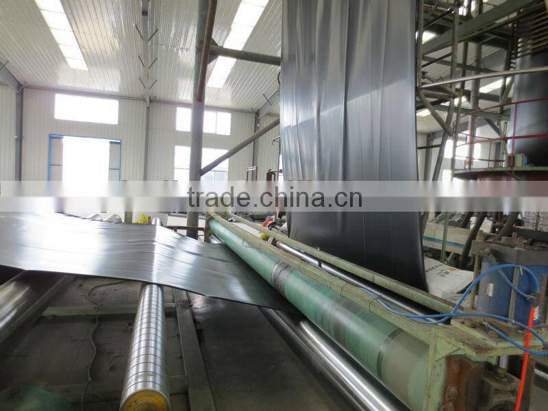 China top standard HDPE geomembrane price