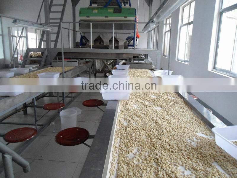 shandong 2015 crop bulk roasted peanuts