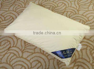 Bamboo memory Pillow