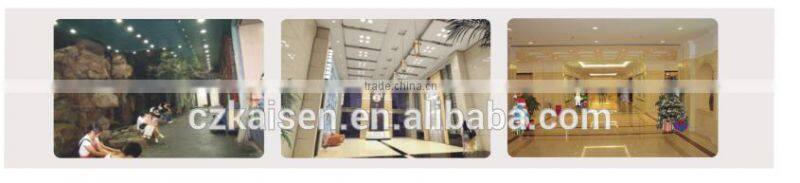 40w energy saving tube magnetic fancy price induction lamp down lighting