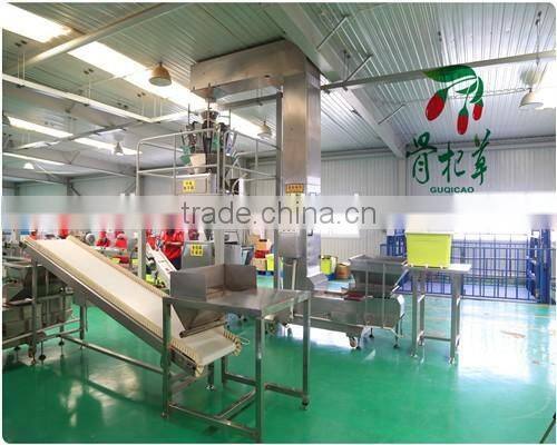 Chinese Wolfberry Extract Goji Berry Extract Powder