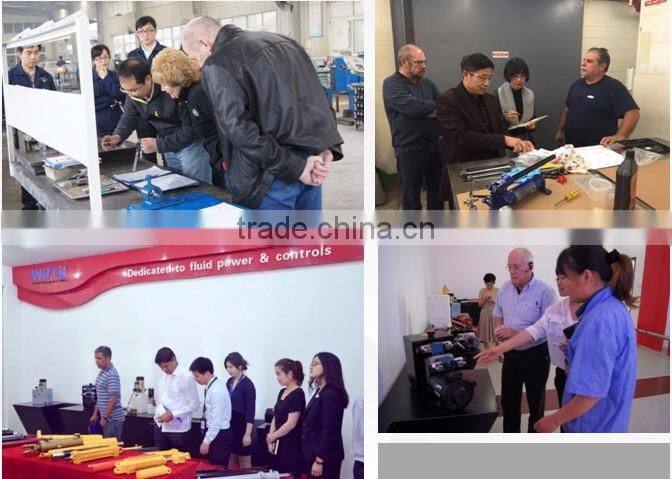 self-locking Pressure holding Hydraulic Cylinder