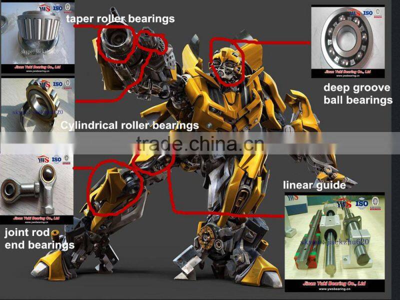 double row Full complement cylindrical roller bearing SL 185013