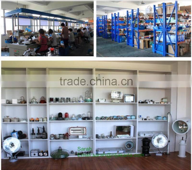 China high quality Marine Search Light Tz1 1000W