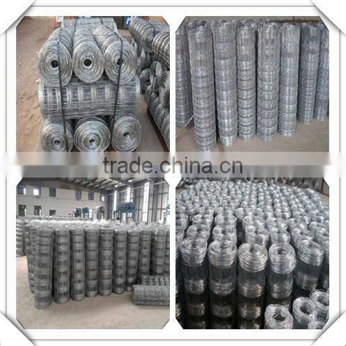 high quality galvanized field fence for sale / sheep fence / galvanized fiedl fence for sale