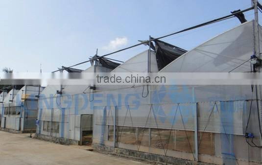 Saw Roof Window plastic film Greenhouse ISO9001:2000
