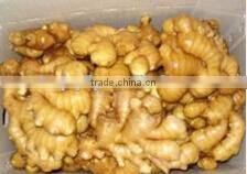 Professional 4 pallet truck body with low price