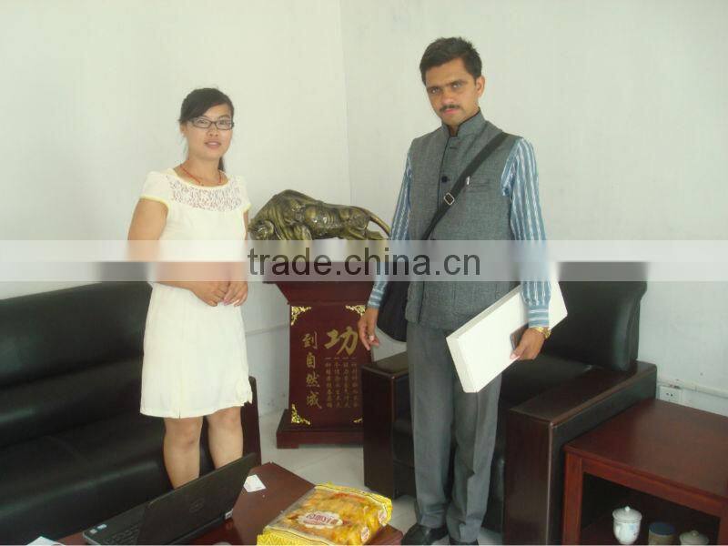 Aquarium fish feed making machine