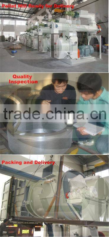 CE/GOST/TUV/ISO Complete Livestock/Poultry/Cattle Feed Pellet Line