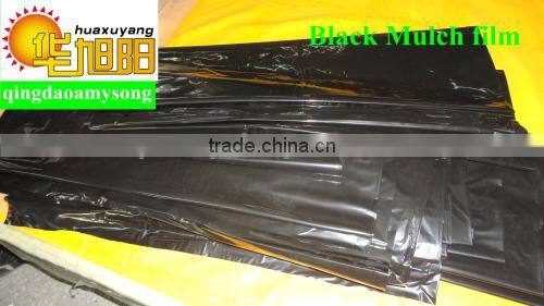 Agricultural black color plastic mulch agriculture white&black film