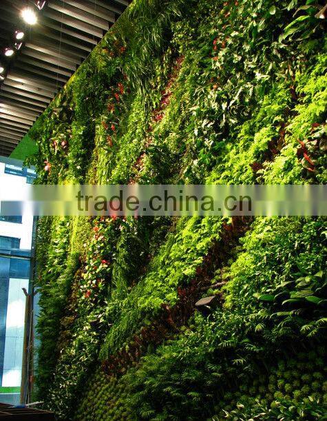 Eco-friendly green wall artificial /fake wall plant for indoor/outdoor decorative