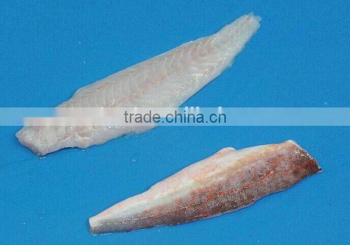 red gurnard with frozen