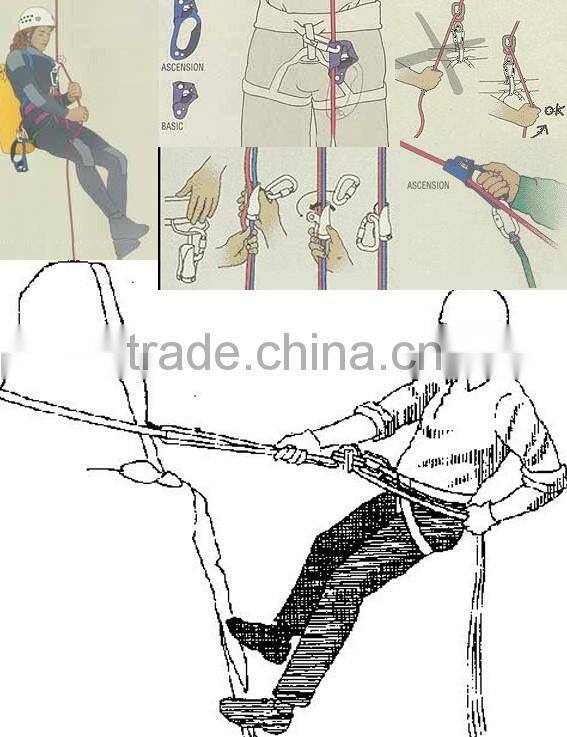 50KG load bearing different shape professional outdoor activity safety carabiner