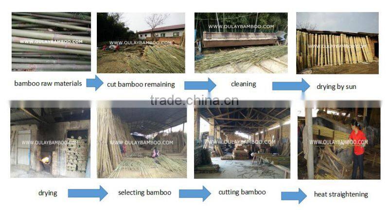 Nature Green Bamboo Poles
