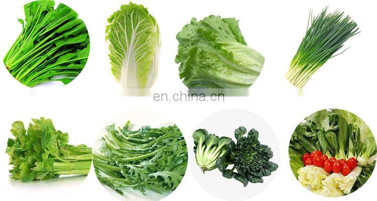 Industrial lemon washing cleaning slicer drying processing line