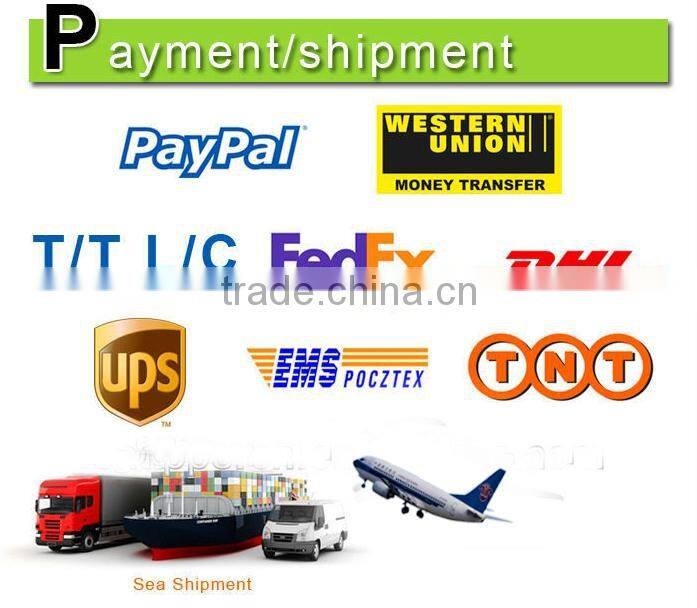 Shenzhen factory direct selling mini radio with mp3