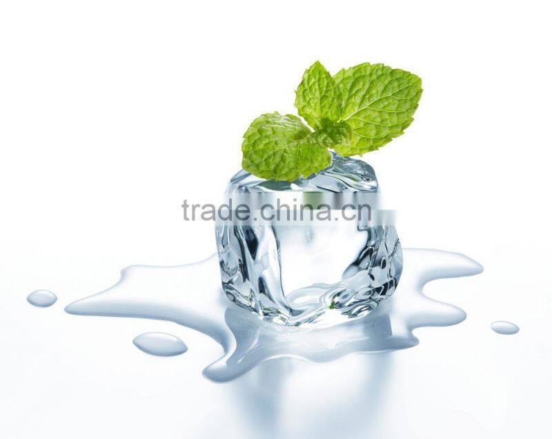 220v portable flake ice maker/ instant ice maker/ soft ice cream maker