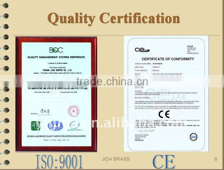 spring Brass Check Valve with stainless net ,JD-3003