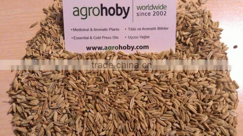Turkish origin Fennel Seed factory
