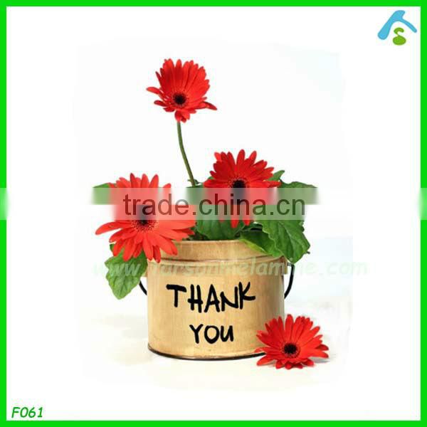 decorative plant pots indoor , coloured plant pots