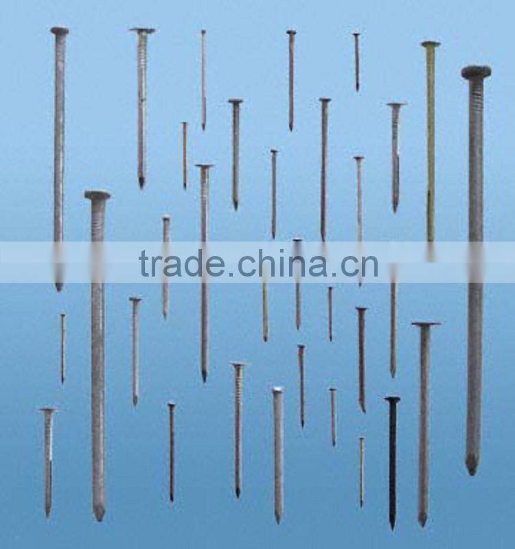 bright common nails,polish common iron nail