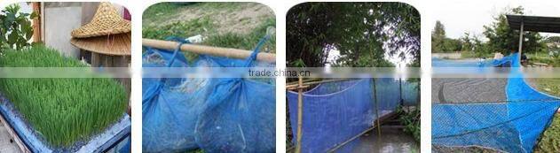 blue nylon net/pe farm net/pe screen fishing net/mosquito blue net/window screen net