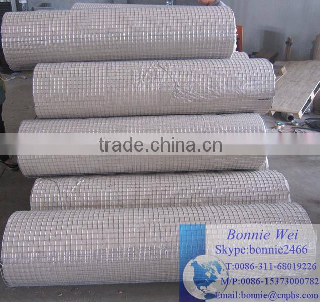 galvanized Chain link fence(factory & trader)