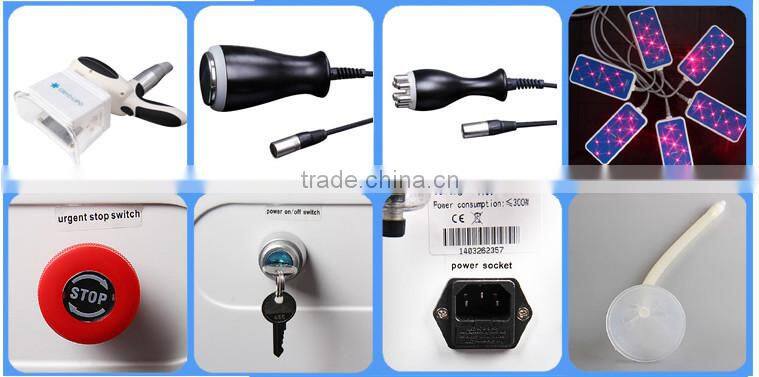 LM-S650B Hottest lipo cavitation cool tech fat freezing machine / cool tech fat freezing machine CE