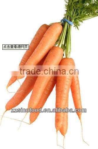 Chinese Food Canned Mixed Vegetable in Canned Food Production Line