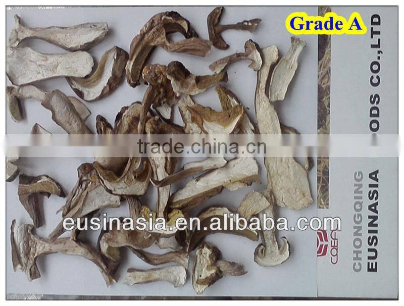 quick frozen porcini mushroom