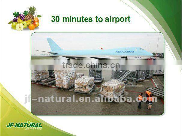 100% NATURAL oem tablet ISO, GMP, HACCP, KOSHER, HALAL certificated.