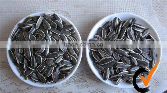 Buy Sunflower oil Seed edible seeds for oil