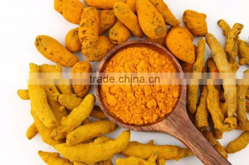 Quality Curcumin Extract